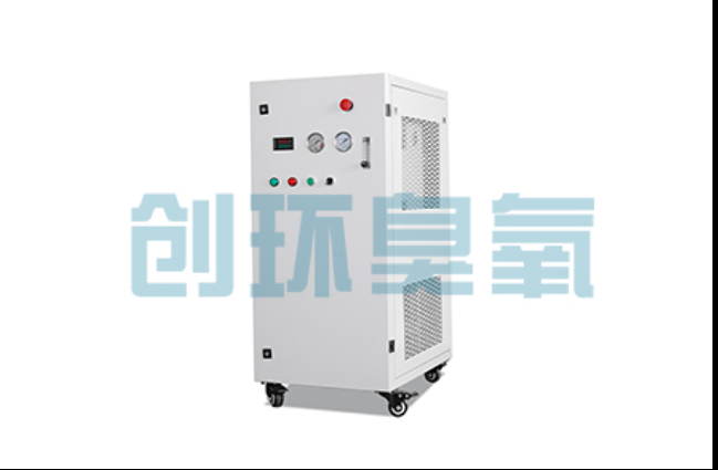 酉阳工厂化养鲈必看:2026年臭氧发生器替代传统消毒的最新方案