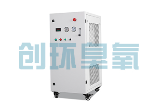 酉阳石斑鱼养殖水质调控完整指南:臭氧发生器配置与操作步骤